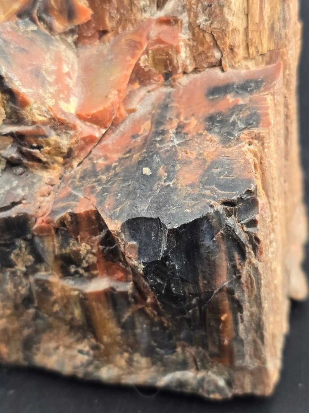 Petrified Wood Fossil Specimen With Rich Red & Black Hues, Polished/Raw -2.1 lbs - Picture 4 of 16